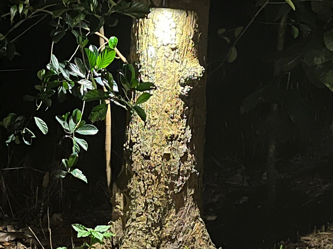 The Cottage Sigiriya主图