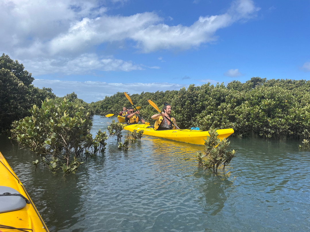 Pioneer Kayaking- Tours-考斯必去景点
