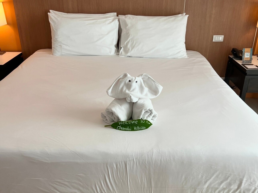 查纳莱山边度假酒店主图