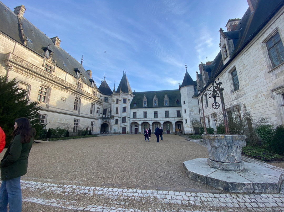 Chateau De Chaumont Sur Loire-Chaumont-sur-Loire必去景点
