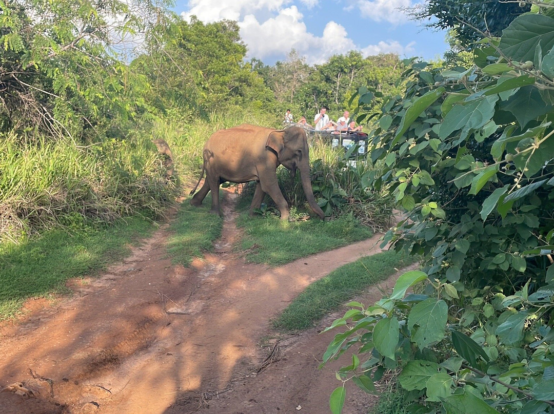 Sri Lanka Chamo Tours景点图片