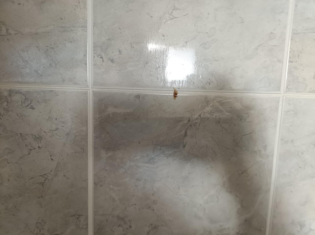 Willows Motel Goulburn主图