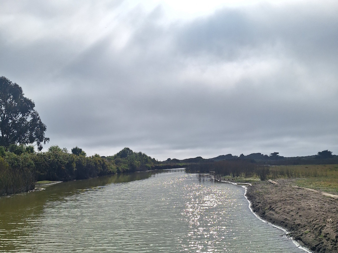 Humedal De Concon-Concon必去景点