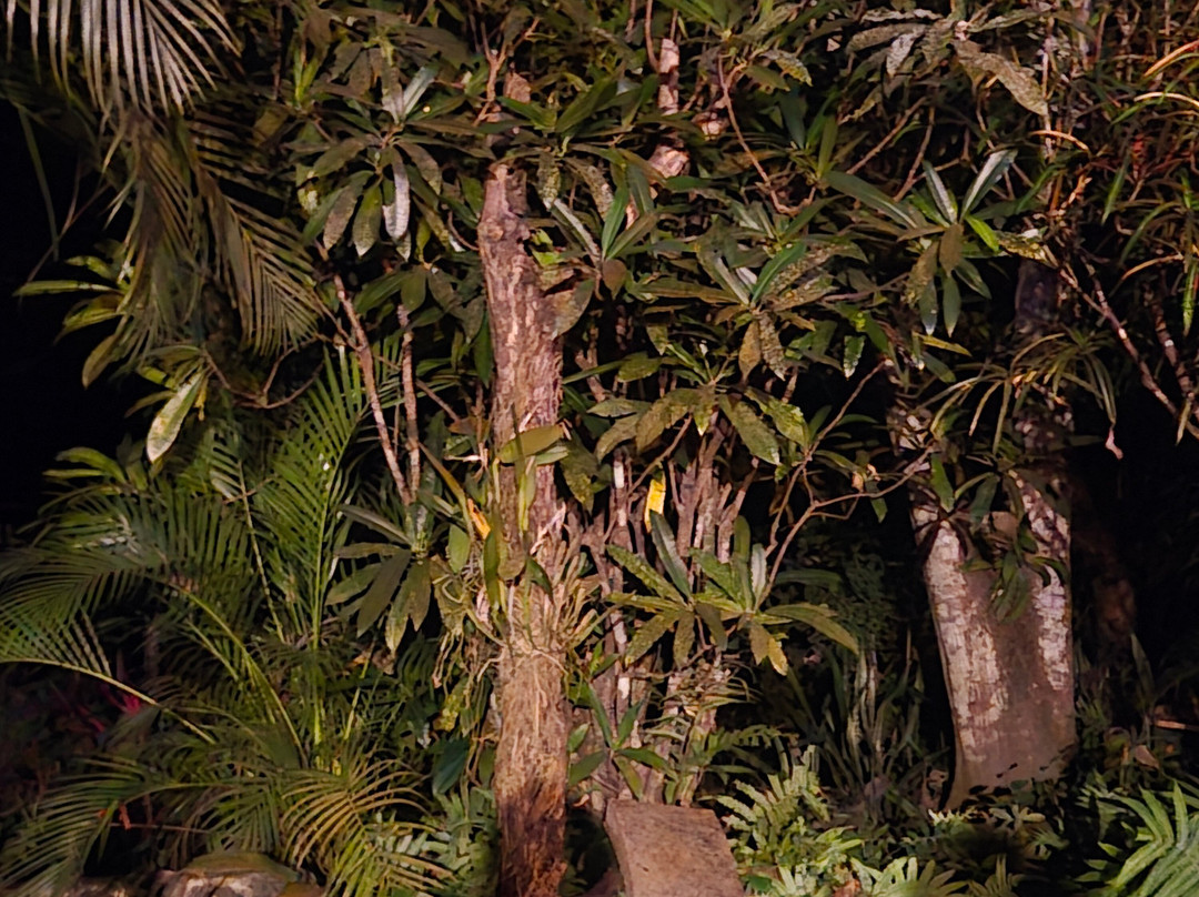 Vikara Wellness Retreats & Holistic Health-Yelapa必去景点