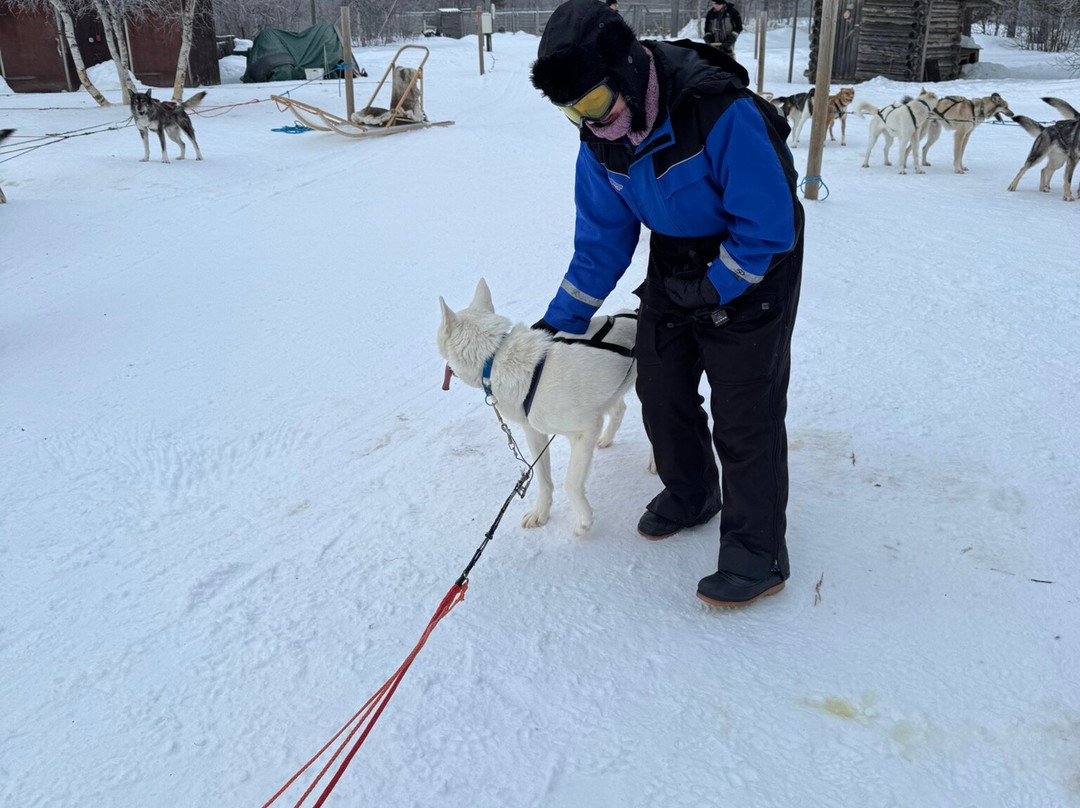 Transun Winter Wonderland-Enontekiö必去景点
