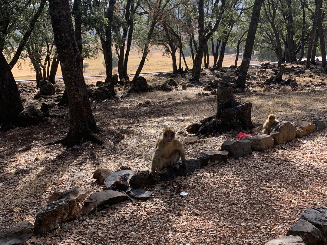 Jari Saoud-Azrou必去景点