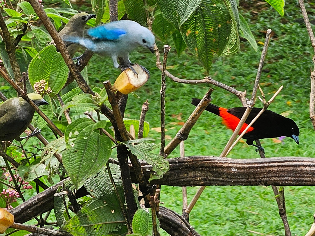 Dave & Dave's Costa Rica Nature Park景点图片