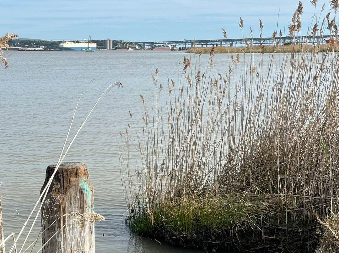 Martinez Regional Shoreline-Martinez必去景点