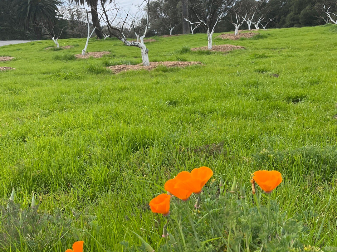 John Muir National Historic Site-Martinez必去景点