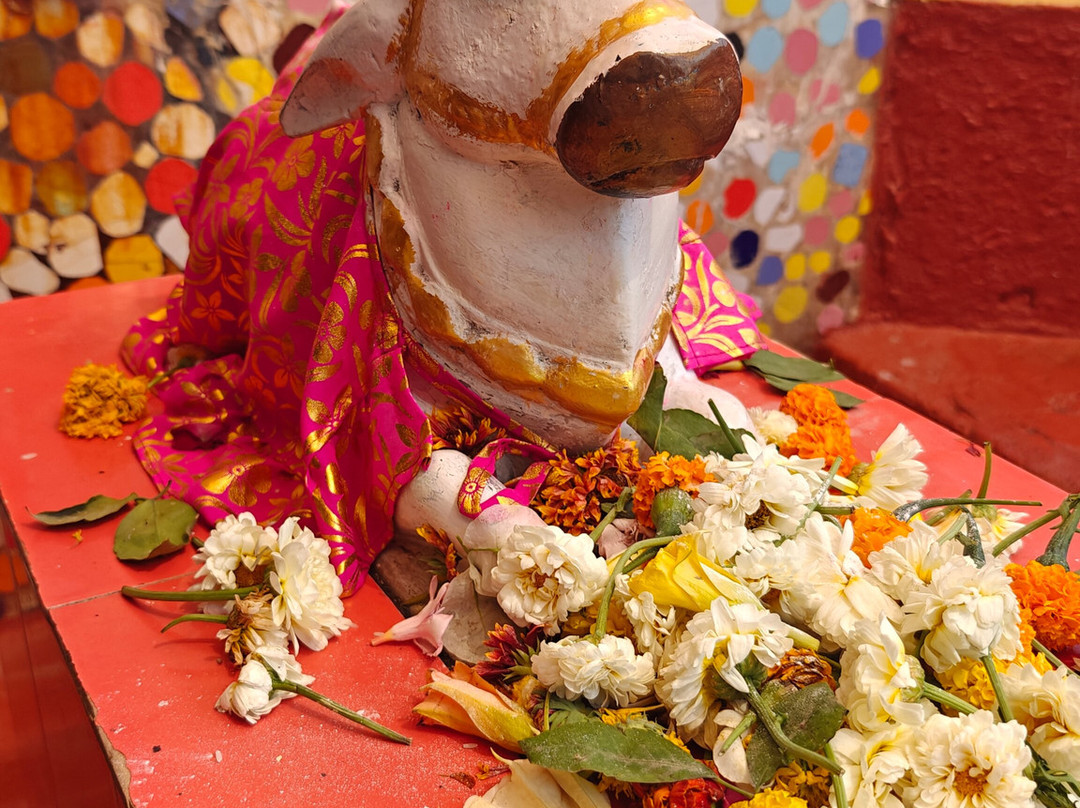 Gangeshwar Mahadev Temple-Diu District必去景点