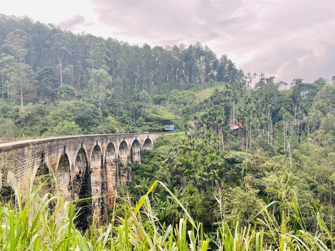 Ceylon Ayli景点图片