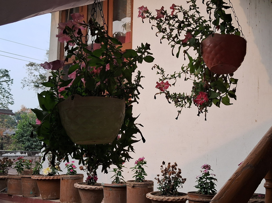 Sneha Bhawan Kaziranga主图