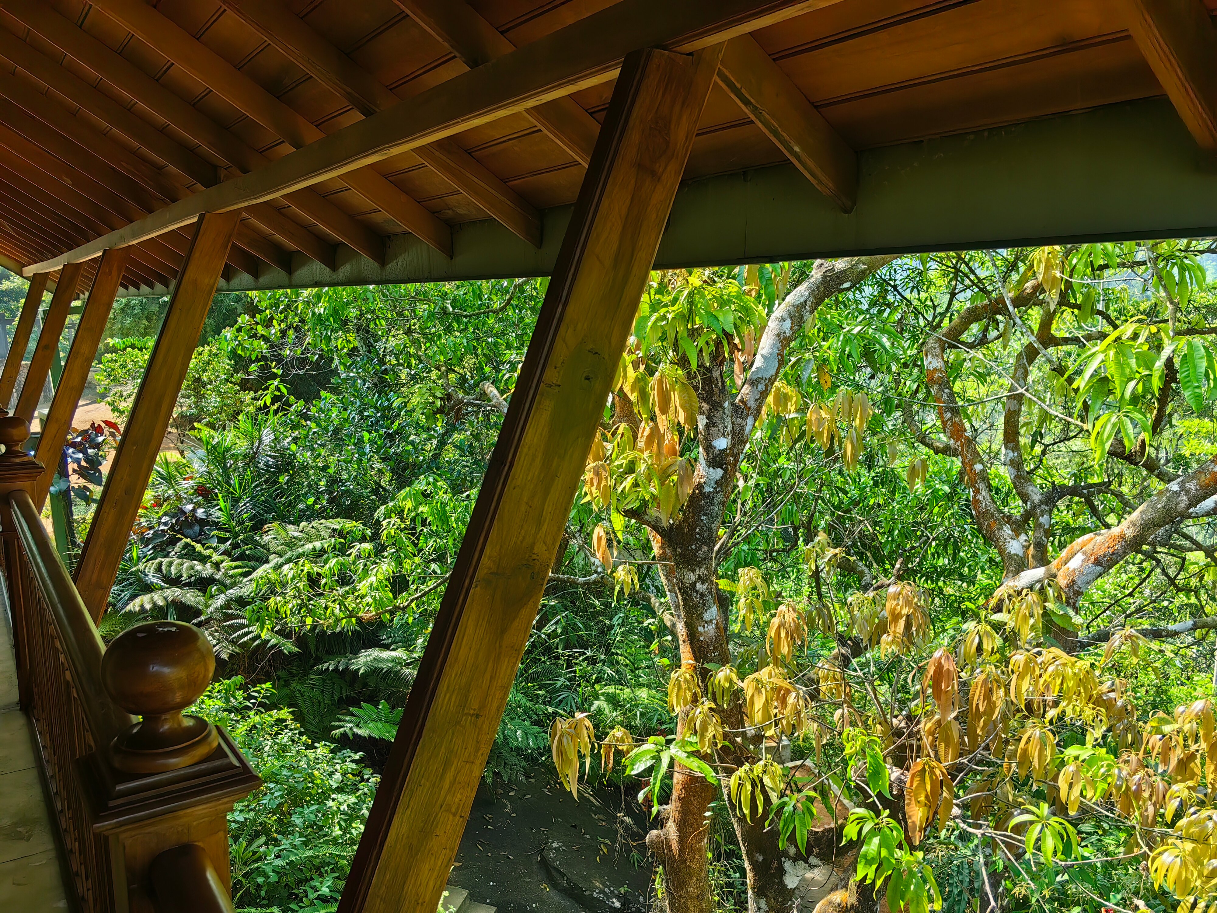 Birds Paradise Hotel-官方