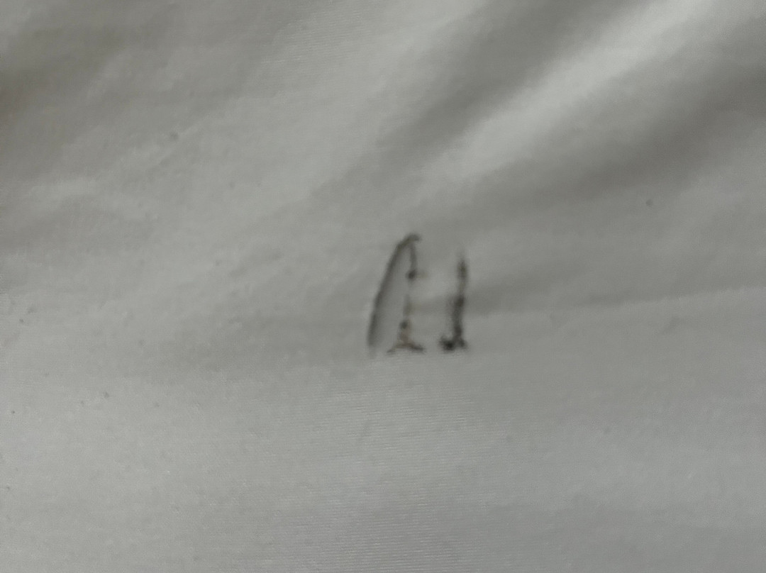 WoodSpring Suites Harlingen主图