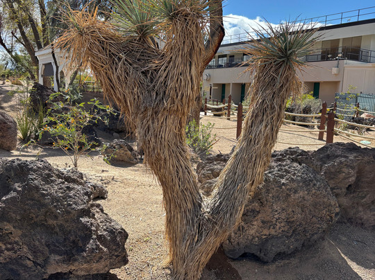 Ethel M. Chocolates-拉斯维加斯必去景点