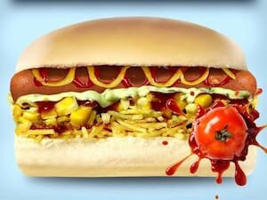 Dog Da Igrejinha Aeroporto