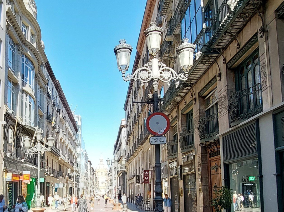 Calle Alfonso I-萨拉戈萨省必去景点