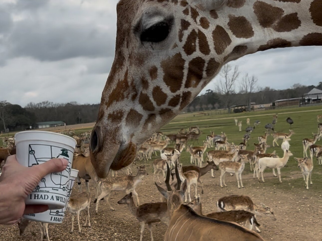 Global Wildlife Center-Folsom必去景点
