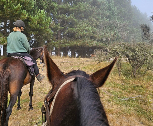 Westray Adventures - Horse Treks & Quad Tours-蒂阿瑙必去景点