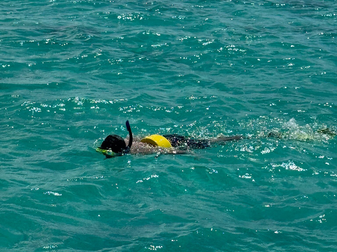 帕尔古拉-Lajas必去景点