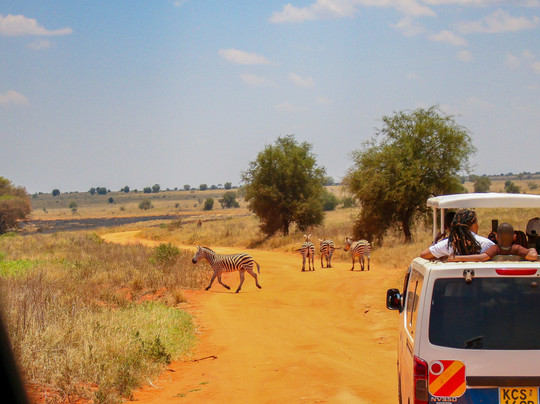 Lumo Community Wildlife Conservancy-Mwatate必去景点
