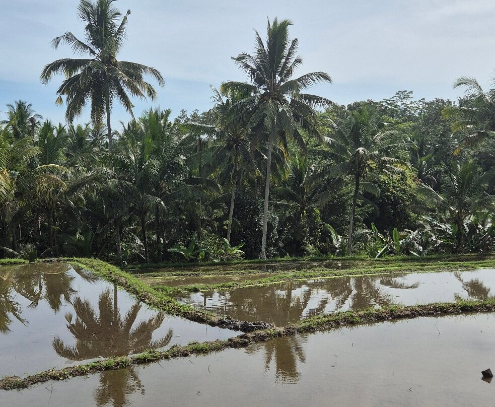 乌布苏亚拉空气豪华别墅主图