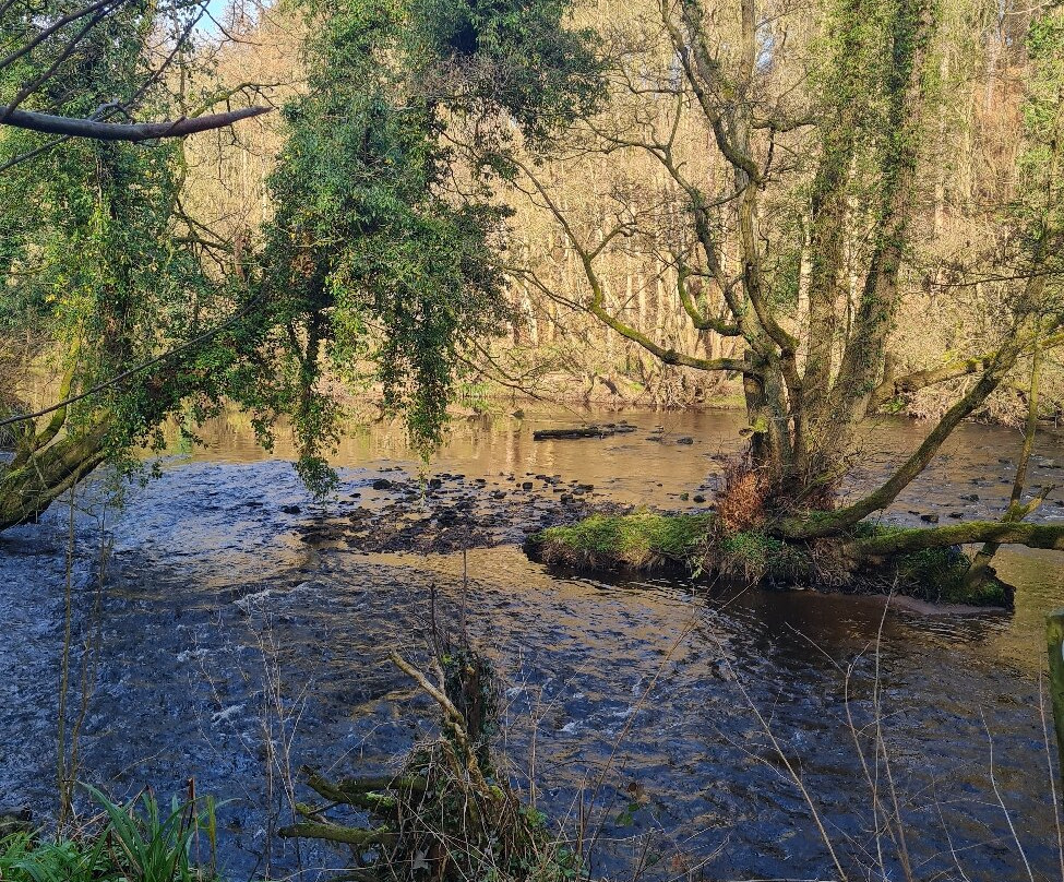 River Nidd Waterside Walk景点图片