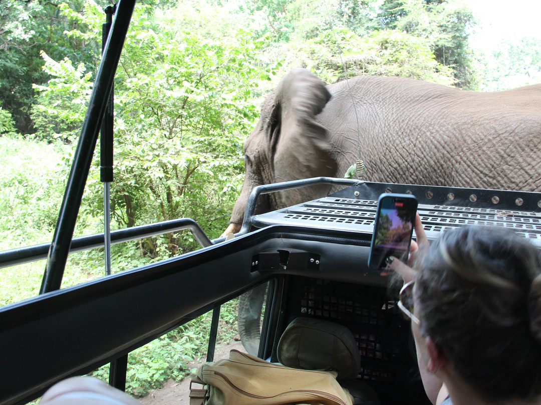 Objectif Tanzania-阿鲁沙必去景点
