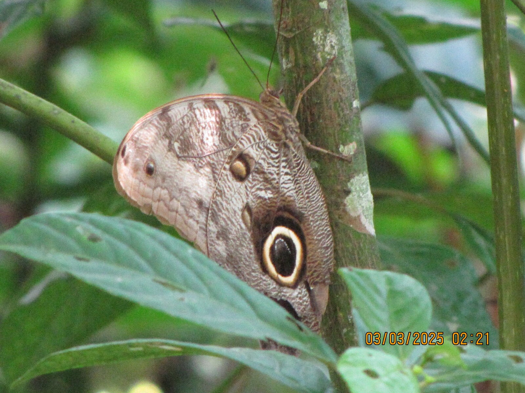 Posada Ecológica Casa María主图