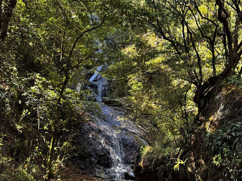 Unfolia-Naucalpan必去景点