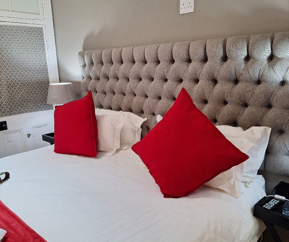 Bellevue Manor Guest House主图