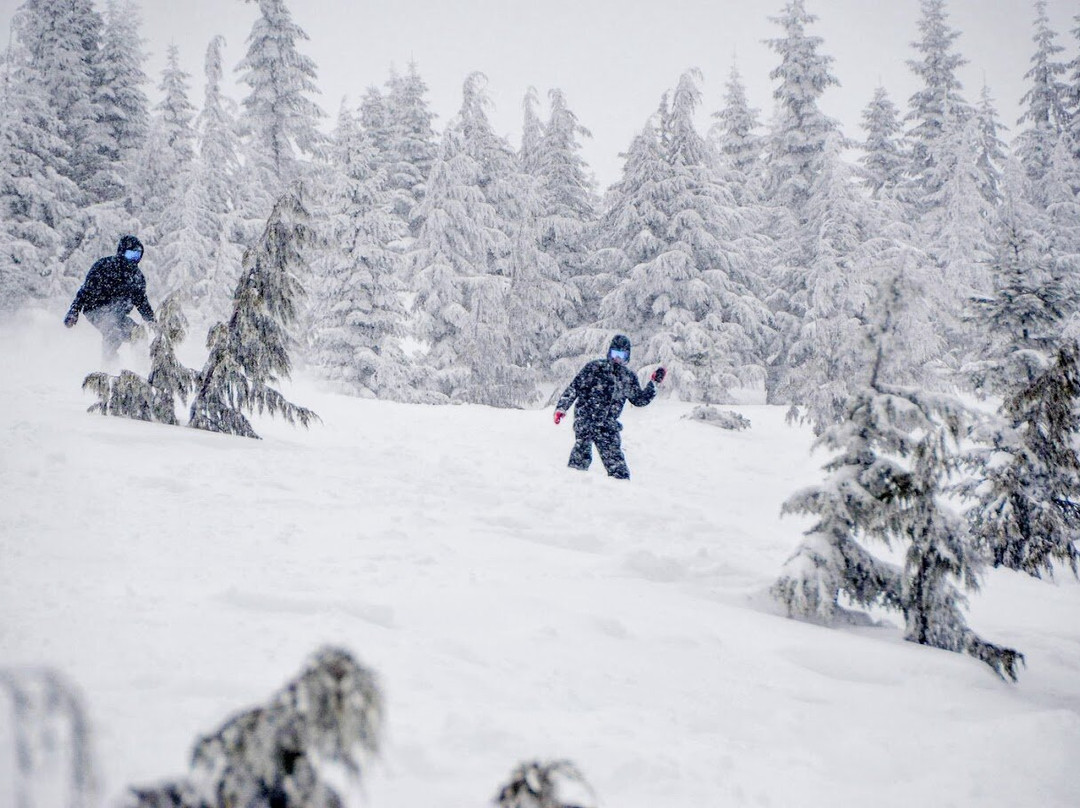 Sasquatch Mountain Resort-阿加斯市必去景点