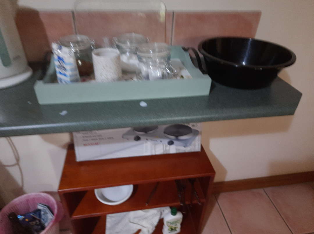 Atherton Blue Gum主图