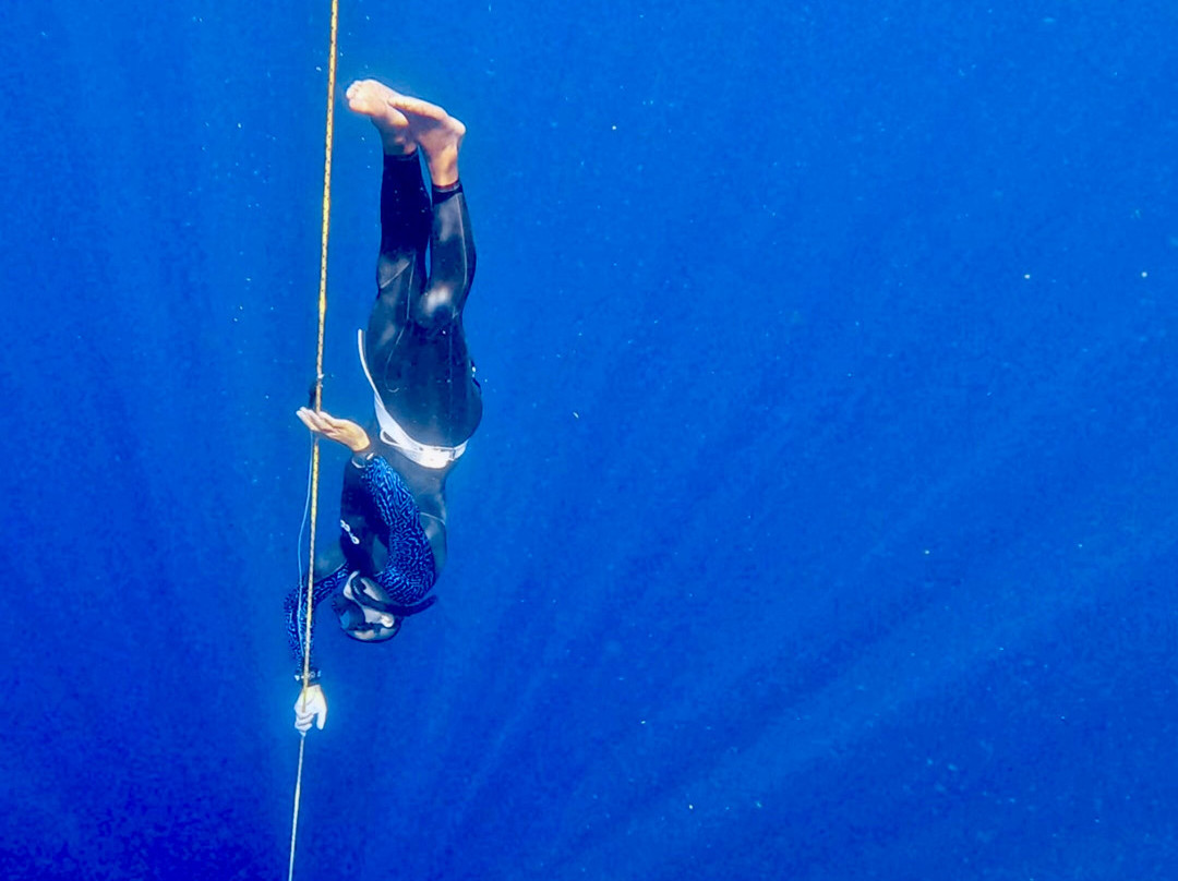 Coral Coast Freediving-Korolevu必去景点