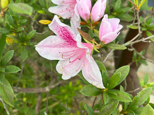 Pousada Chacara Putini主图