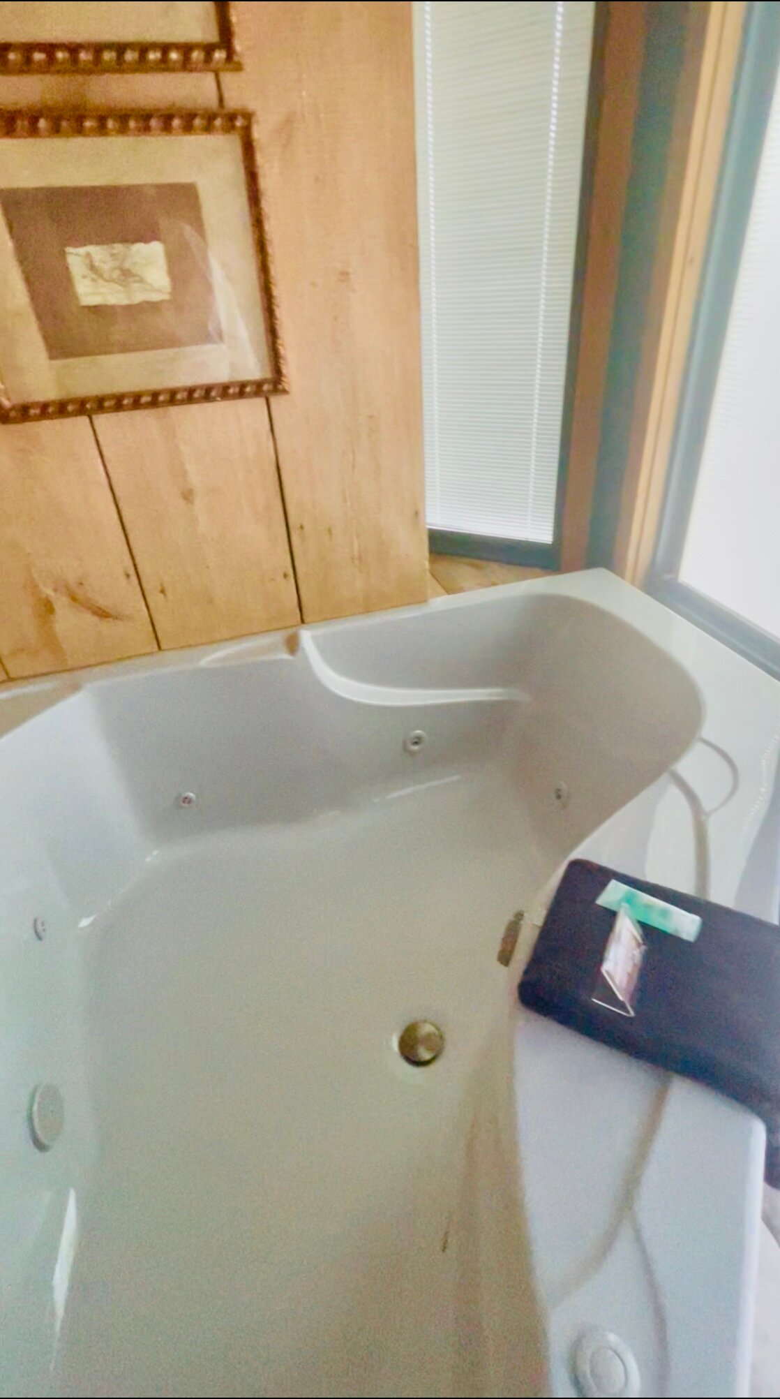 Twin Pine Manor Bed & Breakfast-客卧