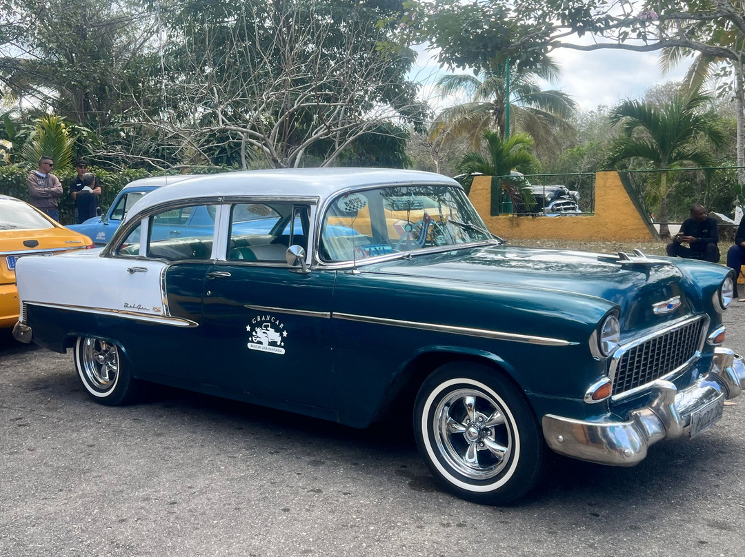 Cuban Classic Car Tours by Eddy-哈瓦那必去景点
