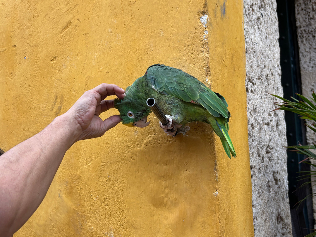 Beyond Colombia-卡塔赫纳必去景点