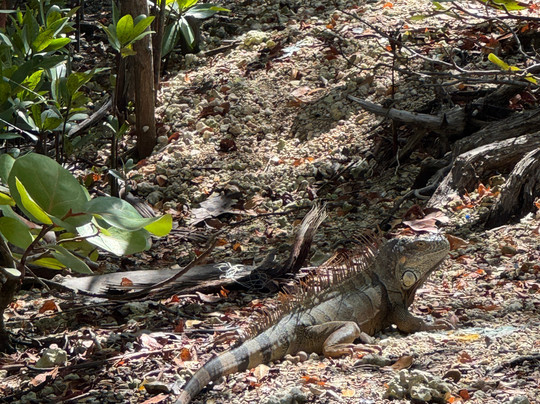 So Flo Water Adventures-North Miami必去景点