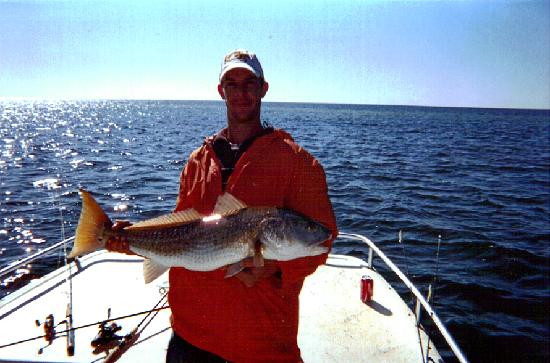 River Inn and Marina主图