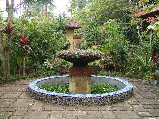 速达尼塔家庭寄宿主图