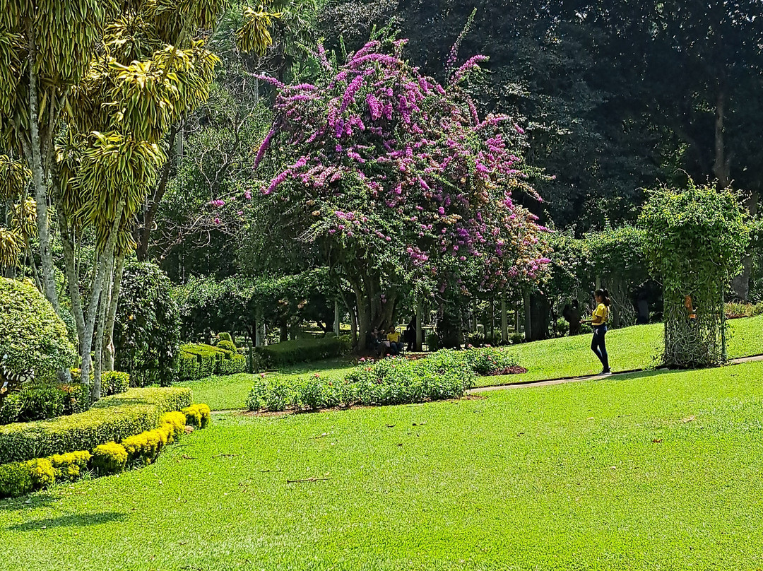 Scenic Ceylon Tours景点图片