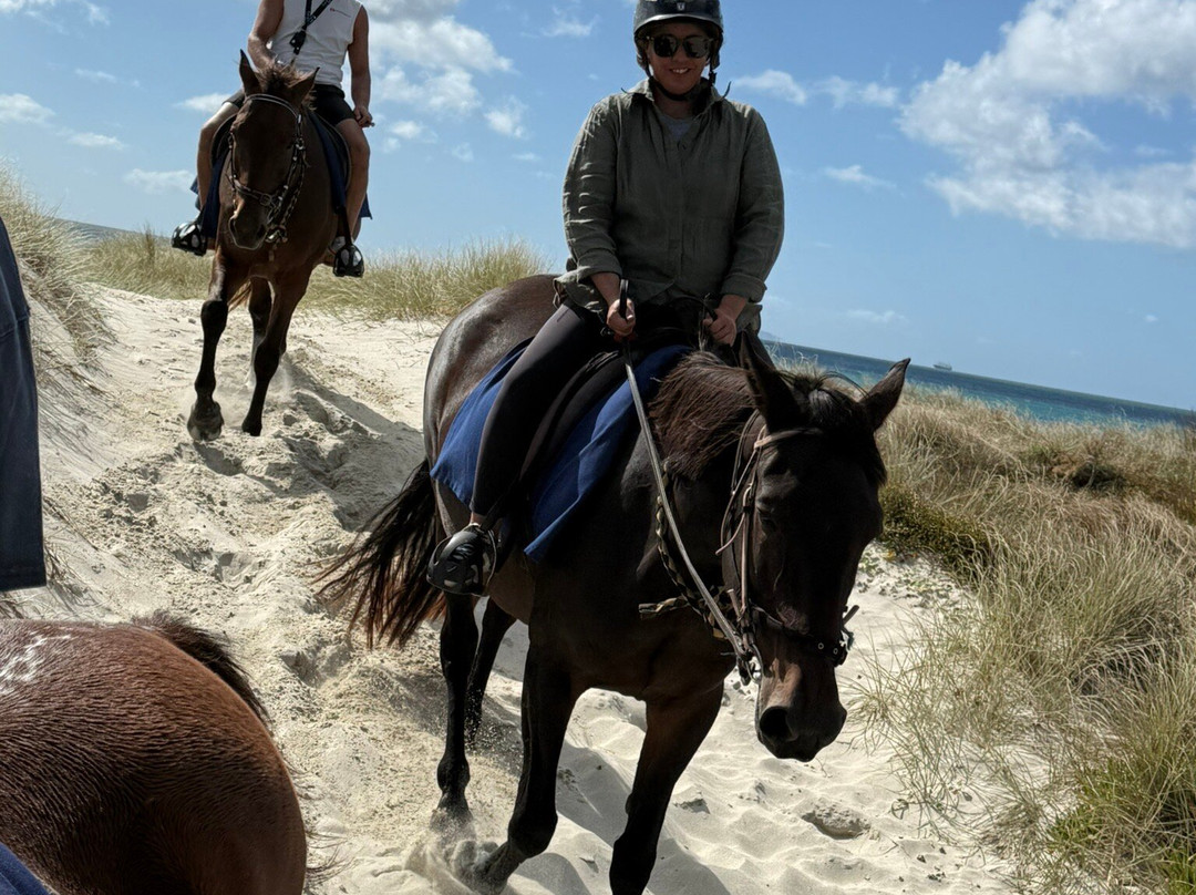 Waipu Horse Adventures-璜加雷必去景点