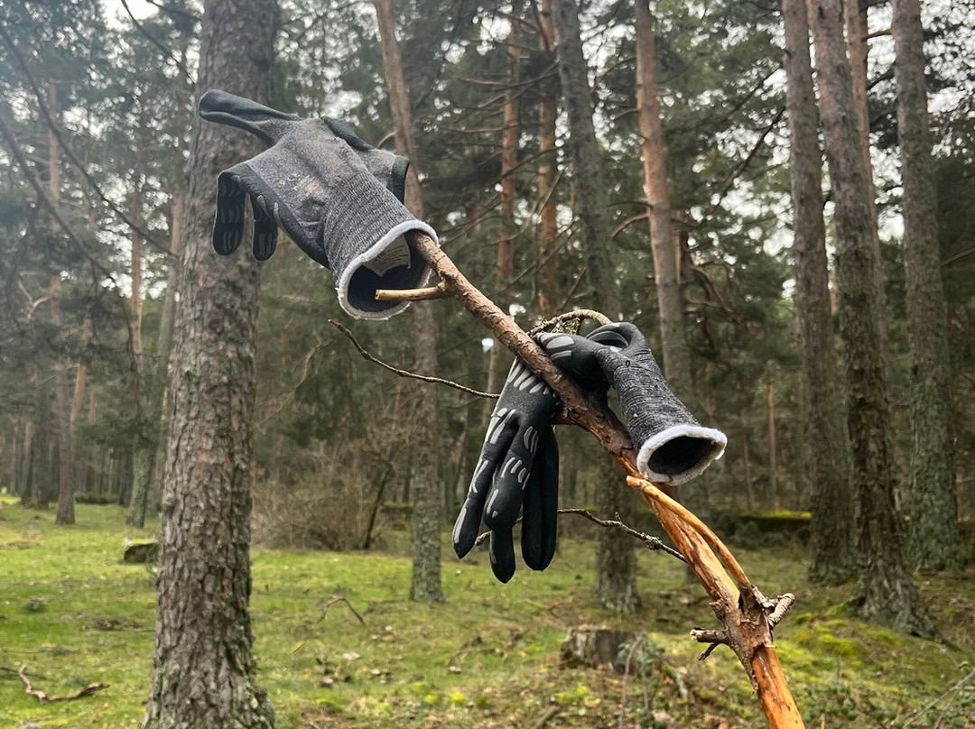 Borgo di Senarega-Valbrevenna必去景点