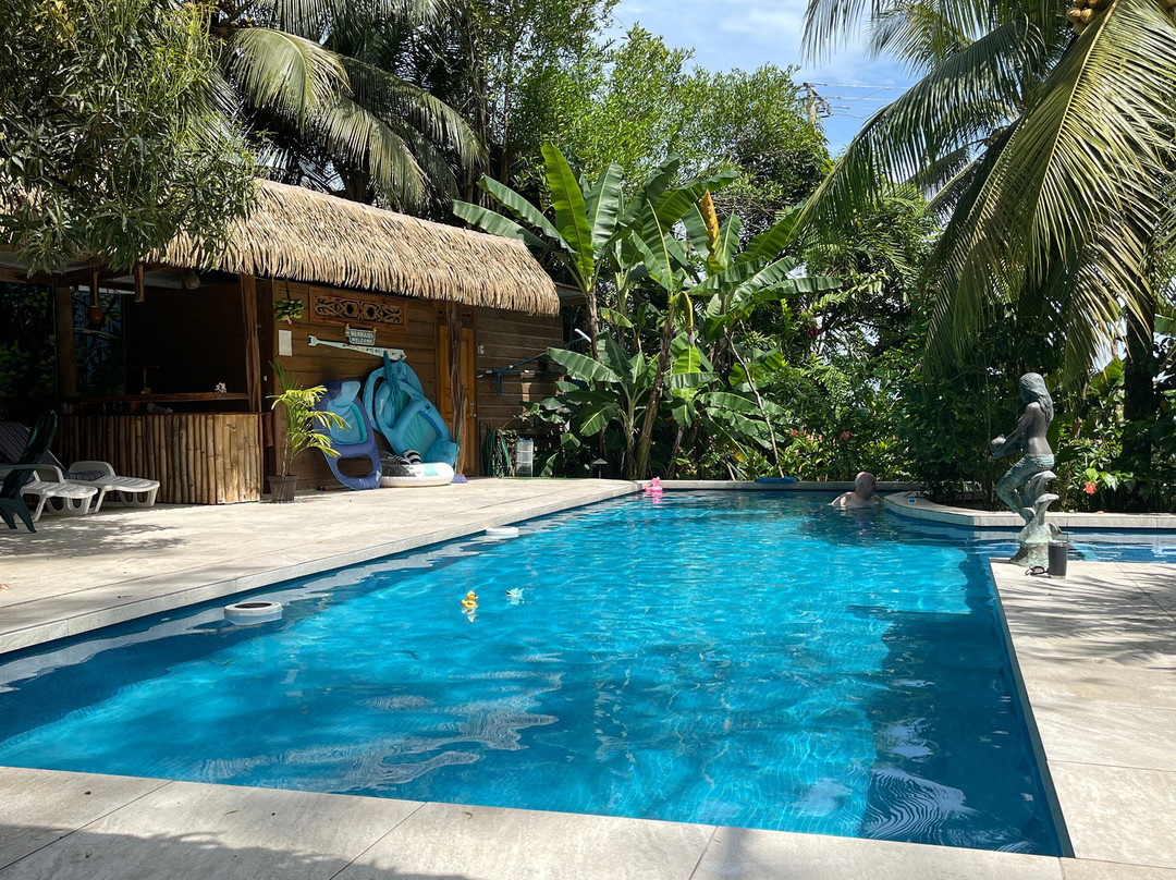 Sand Dollar Beach Bed & Breakfast主图