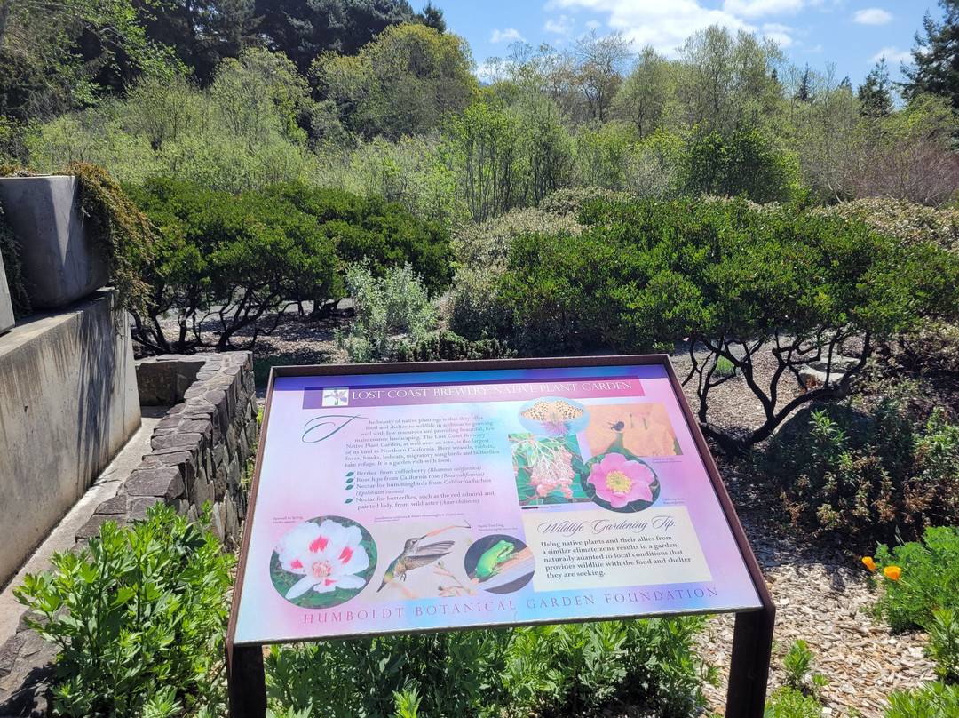 Humboldt Botanical Garden-尤里卡必去景点