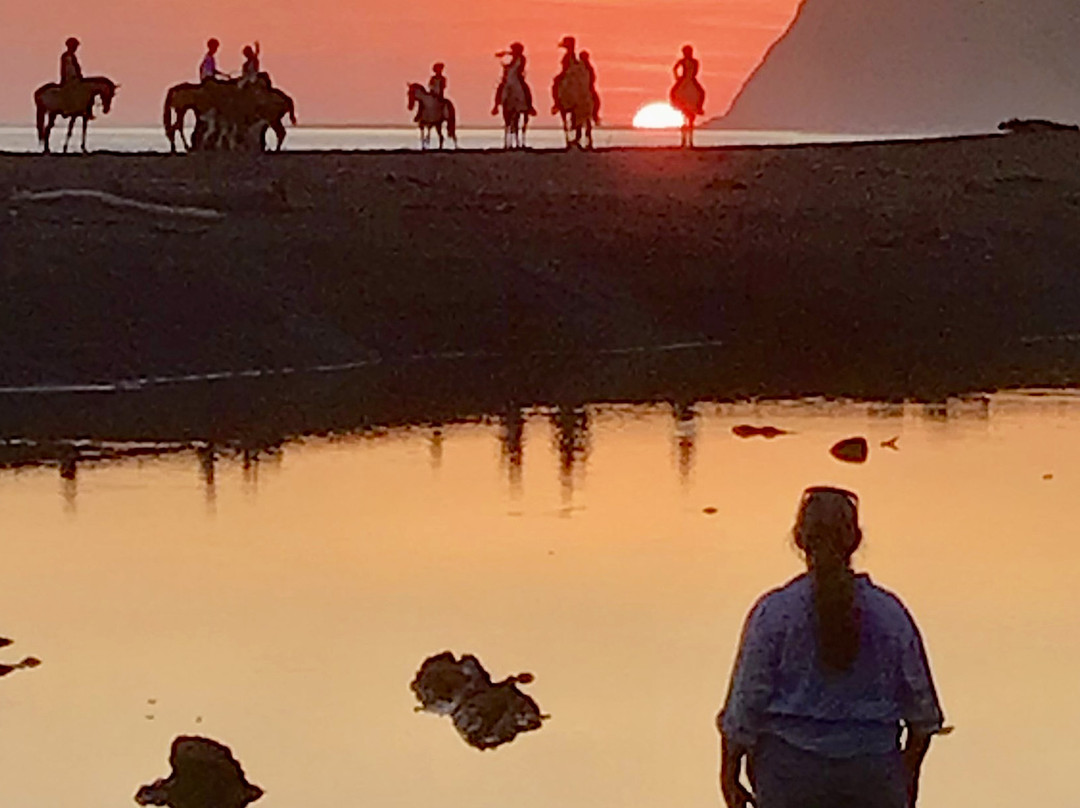 Hotel Samara Pacific Lodge主图