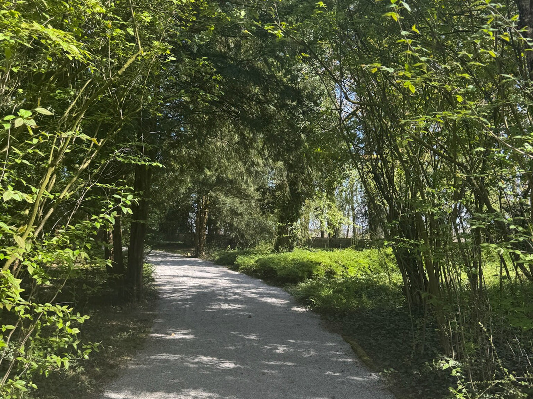 Steve's WW2 Tours-慕尼黑必去景点