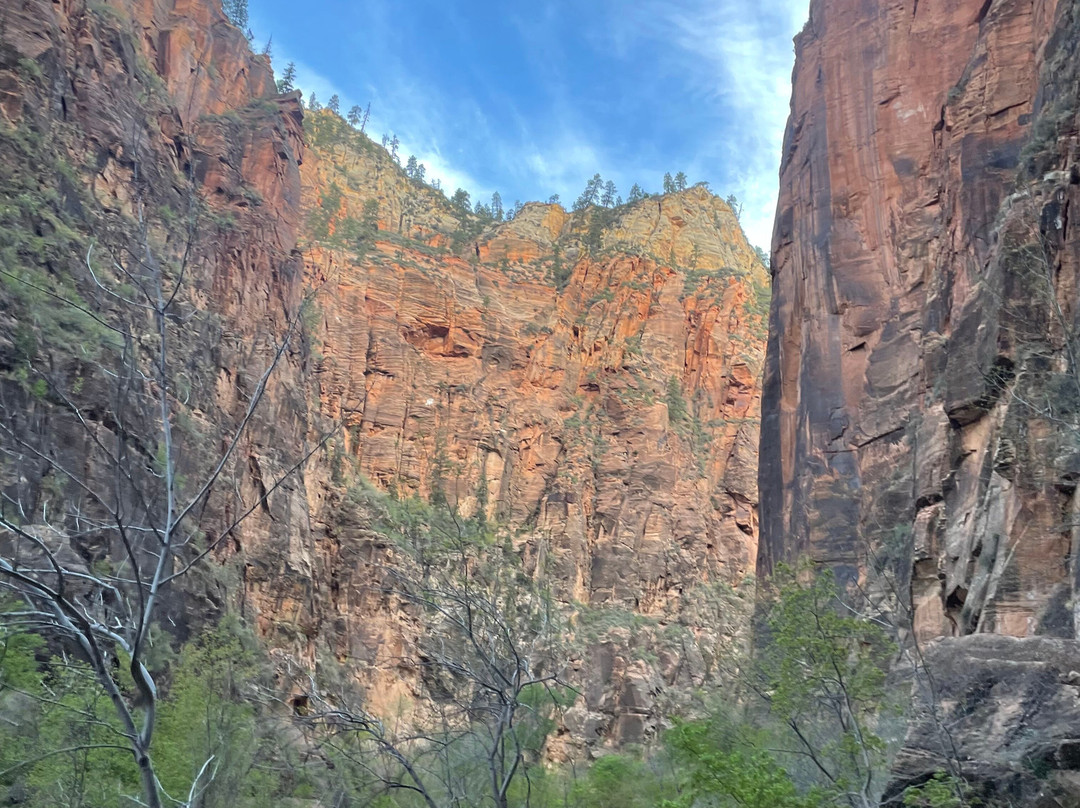 ROAM East Zion-锡安国家公园必去景点