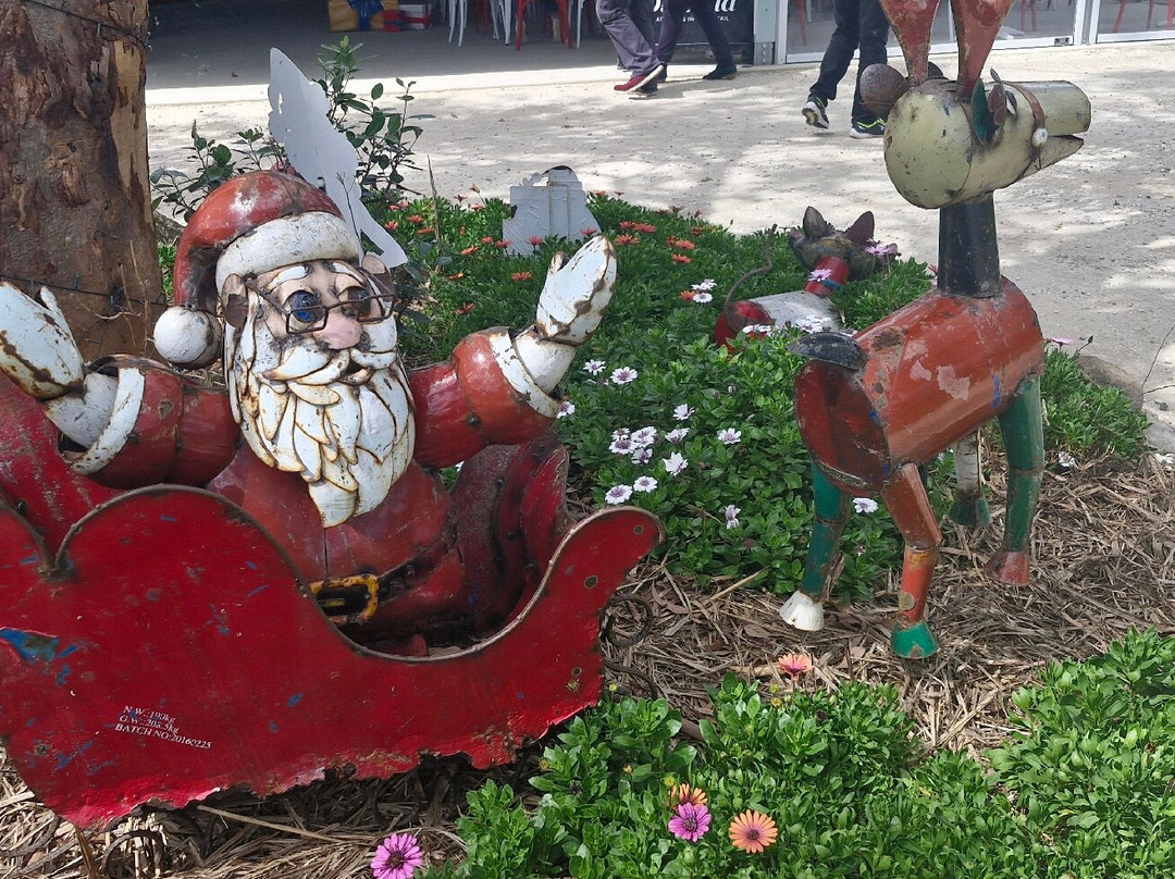 Granite Belt Christmas Farm景点图片